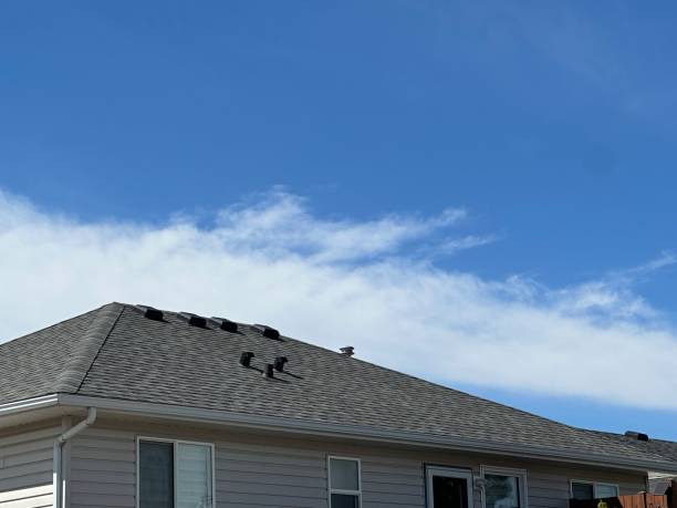 Fast & Reliable Emergency Roof Repairs in Alto, TX